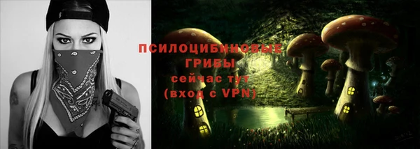 mdpv Мегион