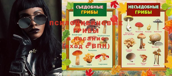 гашик Михайловка