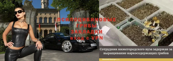 прущий лед Михайловск