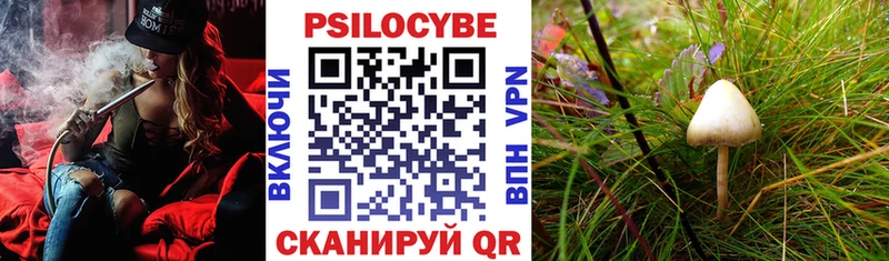 ОМГ ОМГ рабочий сайт  где купить наркоту  Поворино  Псилоцибиновые грибы Psilocybe 